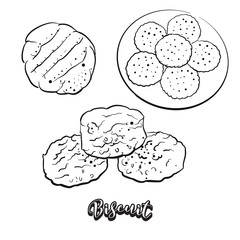 Hand drawn sketch of Biscuit bread