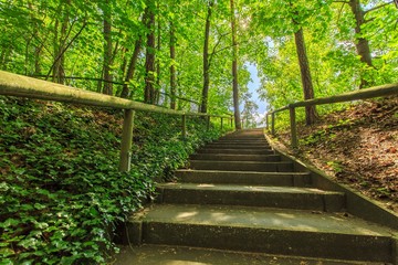 Waldweg mit Stufen