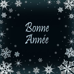 Fototapeta na wymiar Christmas card with new year greetings in French, decorated with snowflakes. Bonne anne