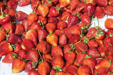 California Strawberries, San Francisco, California, USA