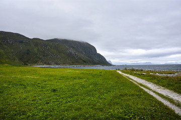 Green landscape and path in Norway ,More og Romsdal county, northernmost part of Western Norway