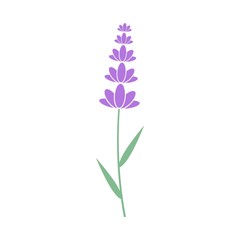 Lavender flower icon, Logo design