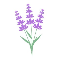 Obraz premium Lavender flower icon, Logo design