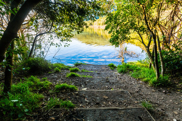 Walking trail around the Blue Lake - Rotorua 