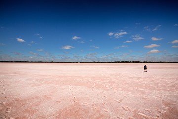 Pink Lake Victoria Australia