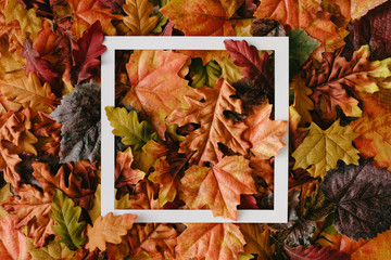 Creative layout made of autumn leaves with paper card note. Flat lay. Nature concept.