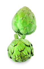 artichoke isolated on white background