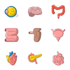 Body organ icons set. Cartoon set of 9 body organ vector icons for web isolated on white background