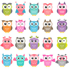 Fototapeta premium set of colorful owls isolated on white
