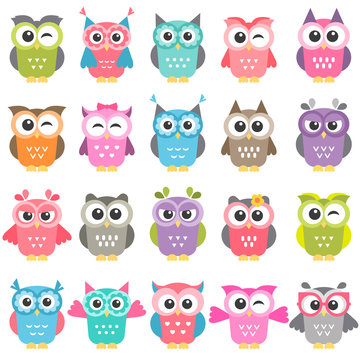 set of colorful owls isolated on white