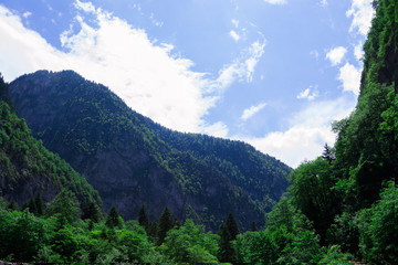 Fototapeta na wymiar Abkhazia