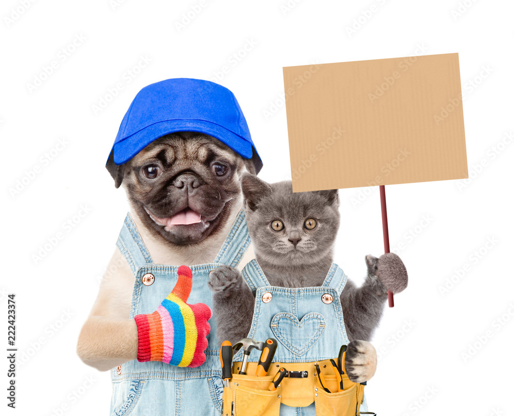 Poster funny puppy in blue cap and kitten worker with tool belt holding blank banner mock up on wood stick 