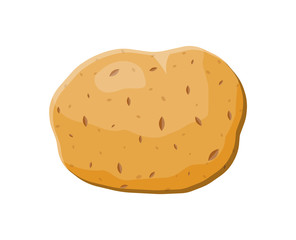 Vegetables potato isolated on white.