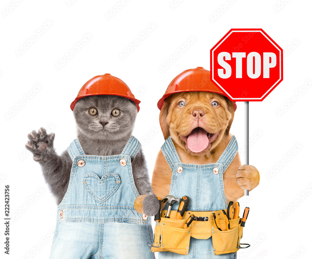 Poster Funny kitten and puppy in overalls and hard hats with tool belt showing stop sign. Isolated on white background