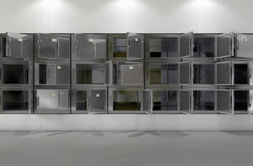 Morgue Fridges Flat Wall