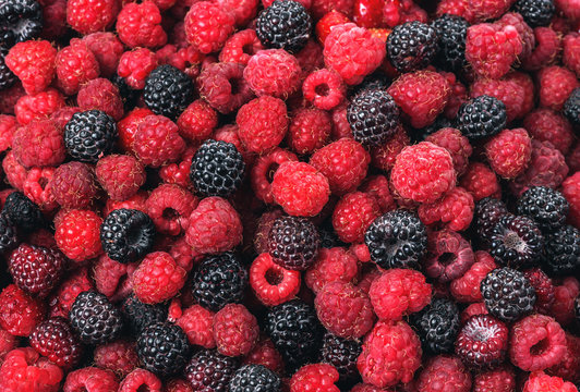 Raspberry and blackberry