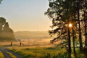 sunrising at nature