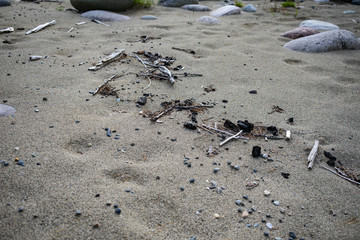 river garbage on a sandy beach