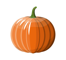 Orange pumpkin vegetable.