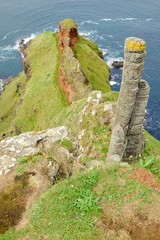 L'orgue de la chaussée de géants