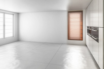 Contemporary Kitchen (Design)