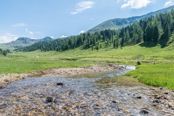 Gebirgsbach in den Nockbergen im Lungau, Österreich