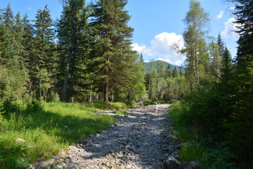 Obraz premium altai mountains