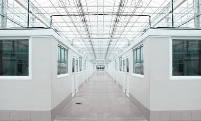 Typical module office boxes for use on production sites.