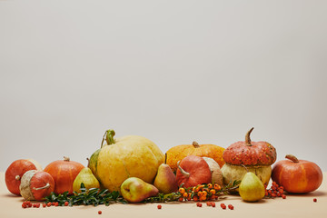 autumnal decoration with pumpkins, firethorn berries and ripe yummy pears on tabletop