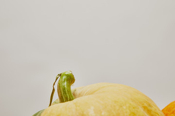 close up of ripe pumpkins isolated on white