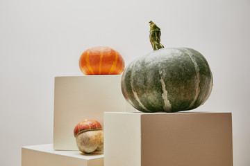autumnal decoration with pumpkins on cubes isolated on white