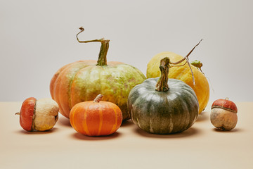 autumnal harvest of different colored pumpkins on beige tabletop