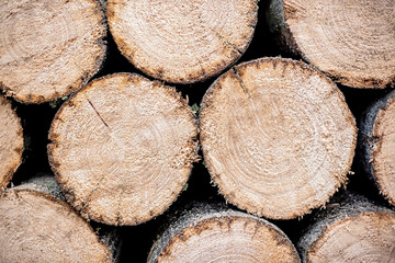 Background of dry chopped firewood logs stacked up on top of each other in a pile