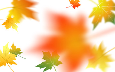 Autumn abstract background. Fall maple leaves. Flying foliage. Vector illustration 