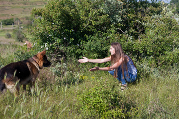 woman plays with dog sheepdog training ni