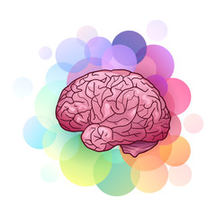 Cartoon illustration of human brain with highlights and shadows with colorful circles. Side view. Creativity and inspiration. The object is separate from background. Vector element for your creativity