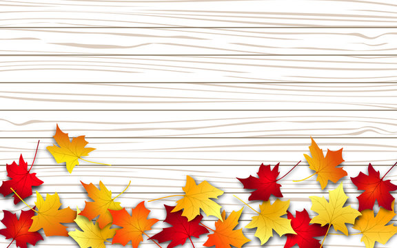 Autumn leaves. Fall colorful maple leaves on wood texture background. Flying foliage. Vector illustration 