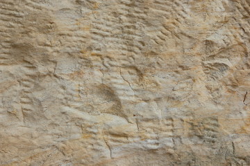 Abstract background. Vintage pattern. Texture of stone wall. Wall of medieval buildings