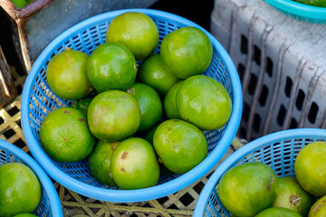 Various Raw Lemons Limes in the Plastic Basket in the Morning Market