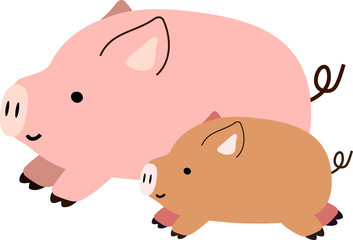 Pig illustration