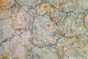 Abstract texture of a cut of a natural stone background