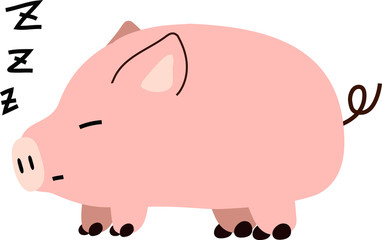 Pig illustration