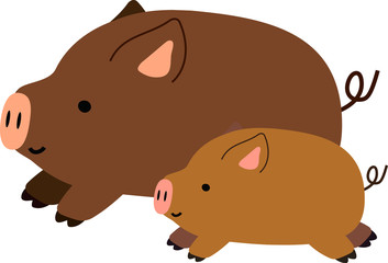 Pig illustration