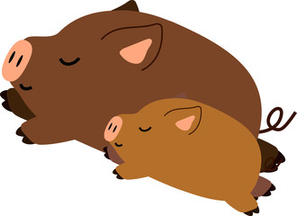 Pig illustration