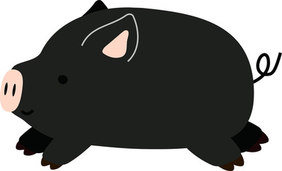 Pig illustration