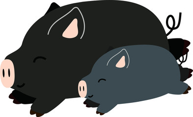 Pig illustration