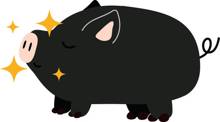 Pig illustration