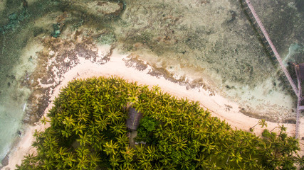 vertical aerial view ocean 101 siargao philippines palm trees sand