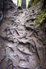 Spectacular Rock City in Adrspach, mountains, national park, Czech Republic