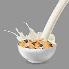 Vector realism style illustration muesli in bowl